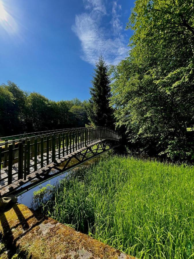 Domek W Glebi Lasu Nad Stawem Wierszyno Dış mekan fotoğraf